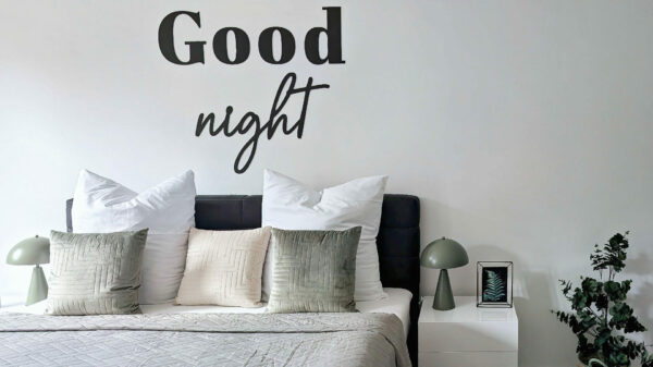 MainZauber Apartments früher MainTerrasse Miltenberg am Main - Modernes Luxus-Apartment: Gemütliches Bett mit weißen & grauen Kissen, stilvolle Lampen, Pflanze - perfekte Unterkunft in Miltenberg.