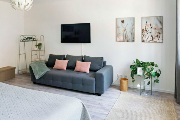 MainZauber Apartments früher MainTerrasse Miltenberg am Main - Modernes Wohnzimmer der Luxus-Ferienwohnung AltstadtZauber Miltenberg mit grauem Sofa, TV, Pflanzen und stilvoller Einrichtung.